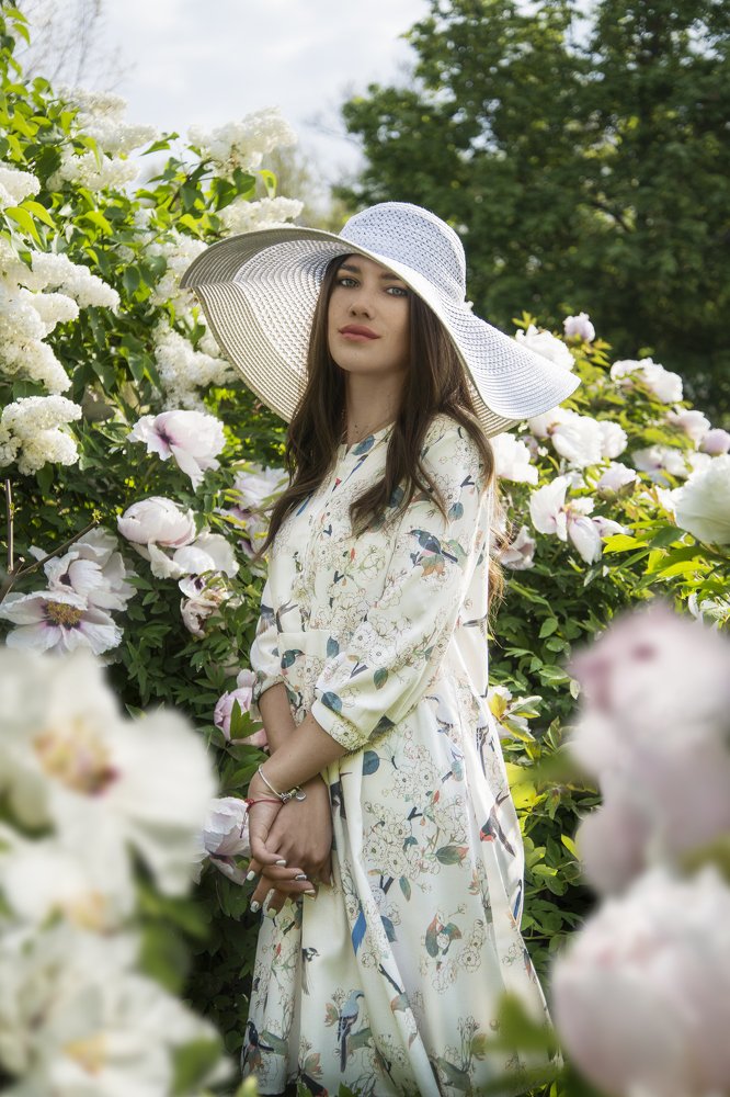 Цветение японских пионов