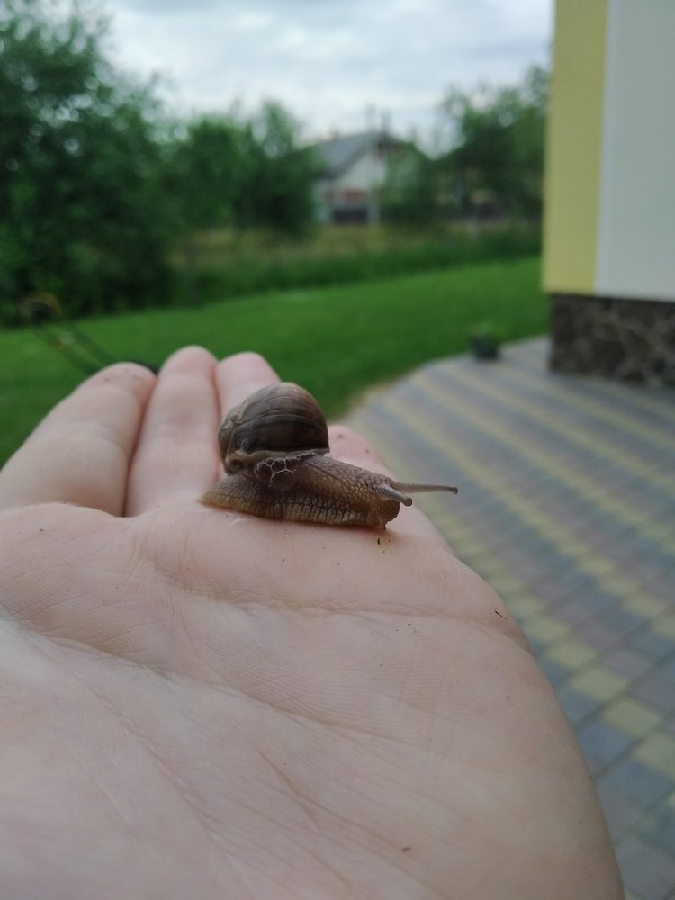 Photograph by Ирина Бобык