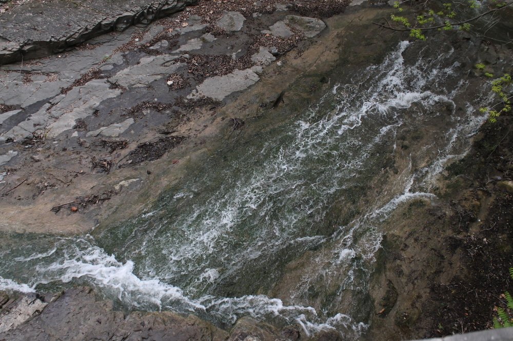 Photograph by Галина