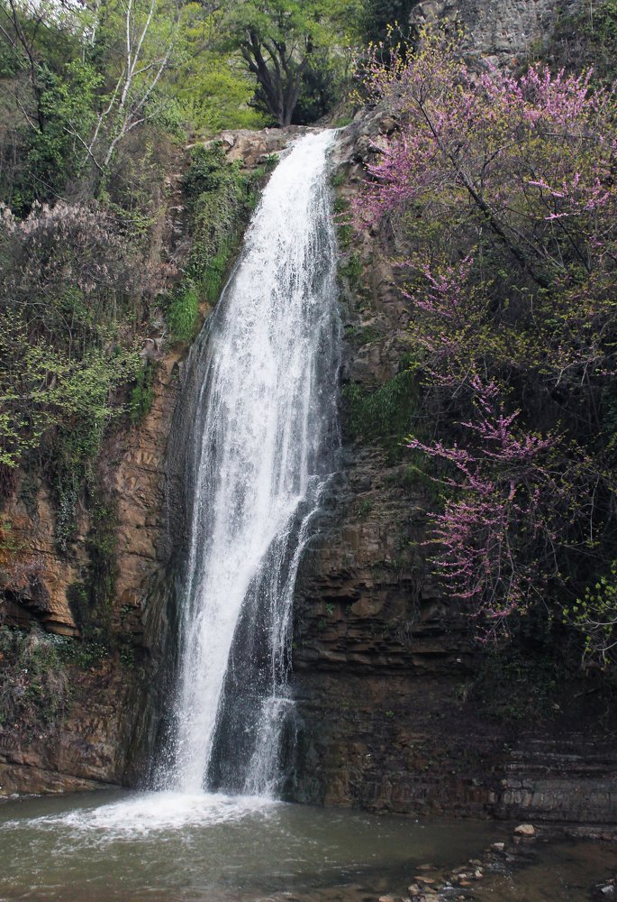 Photograph by Галина