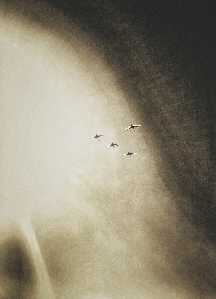 Photograph by Artur Politov