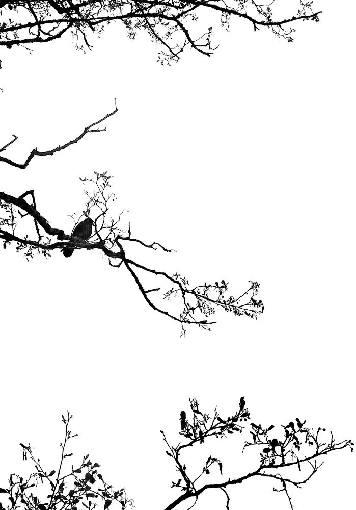 Photograph by Artur Politov