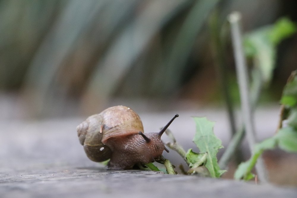 Photograph by Xie Biying