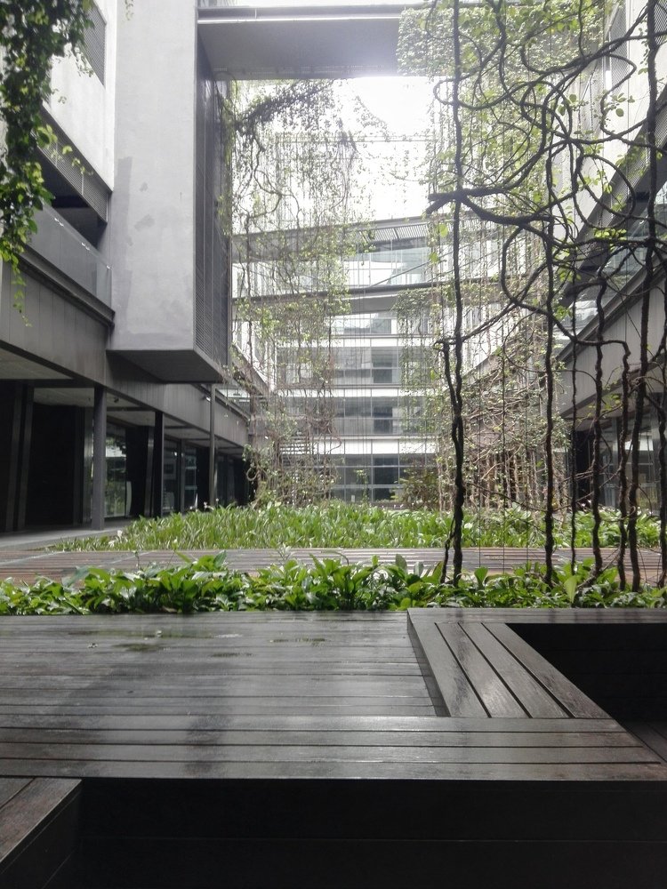 Urban Jungle