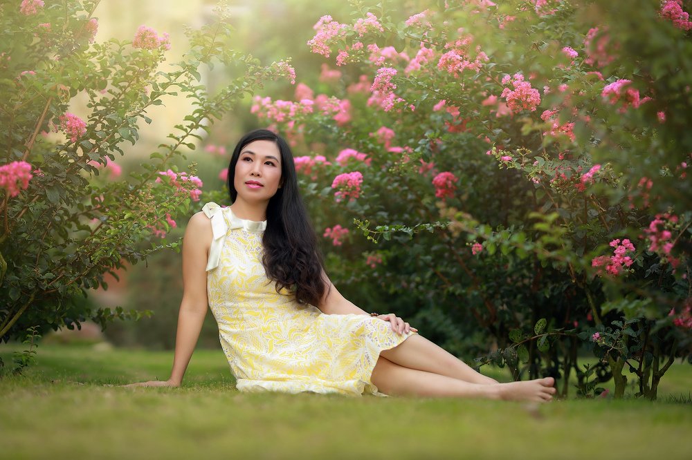 Tường vi cánh mỏng