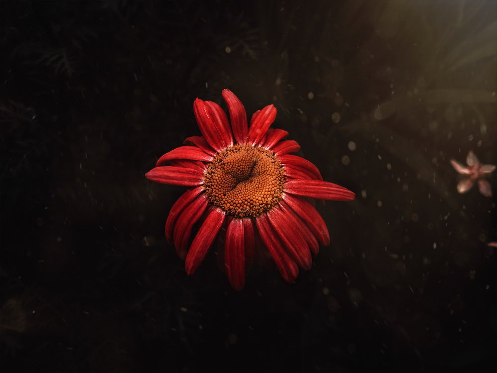 минимализм