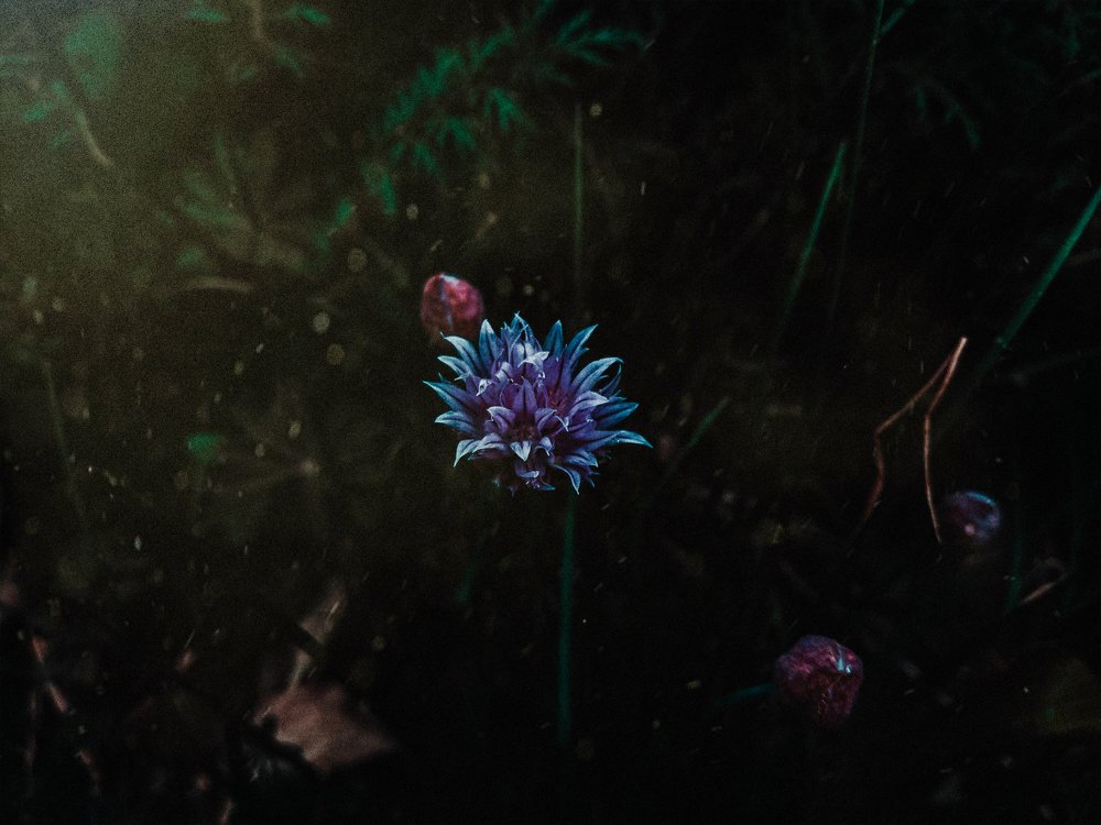 минимализм