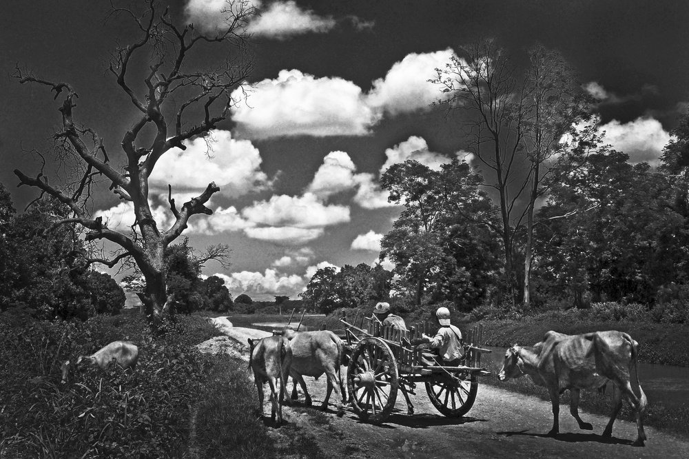 Country