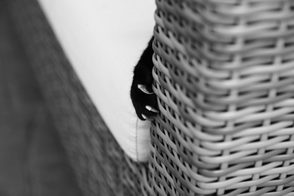 За поворотом скрыта неизвестность