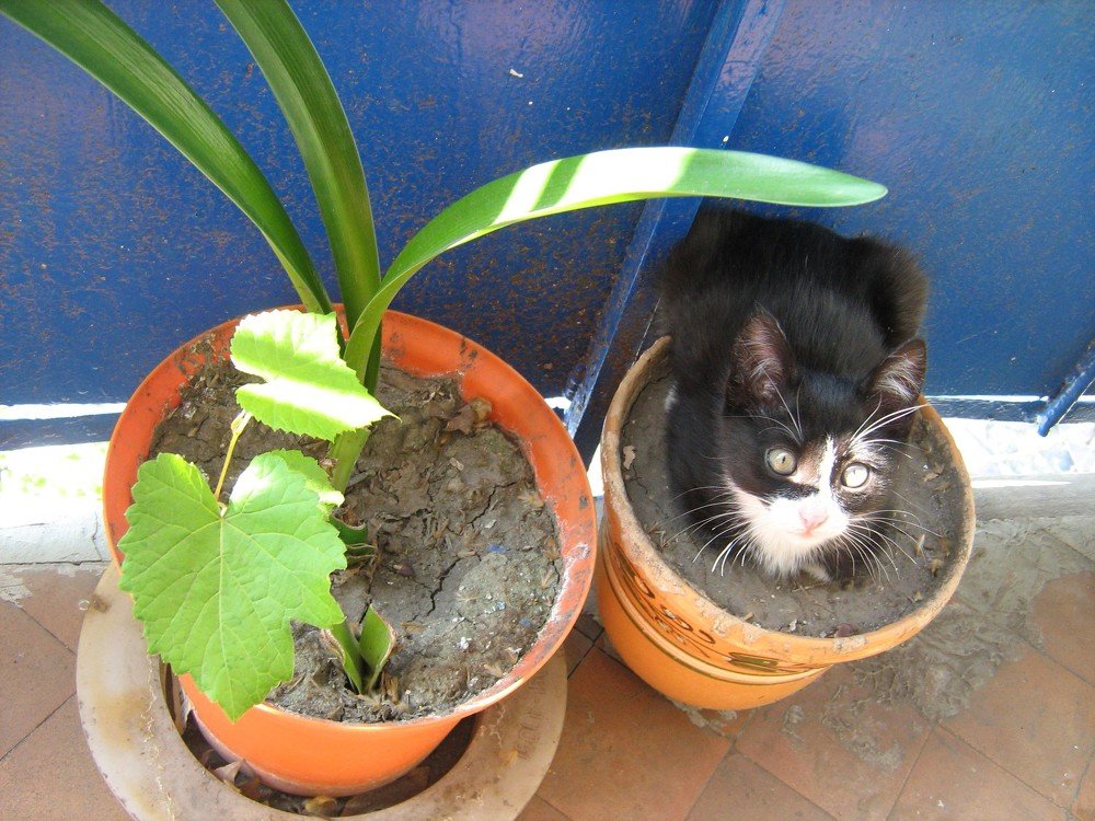 Растём вместе