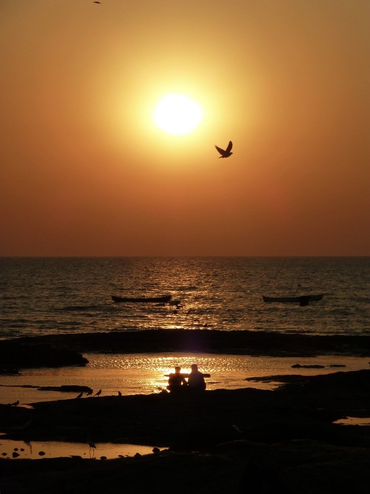 Photograph by Olga Thomas