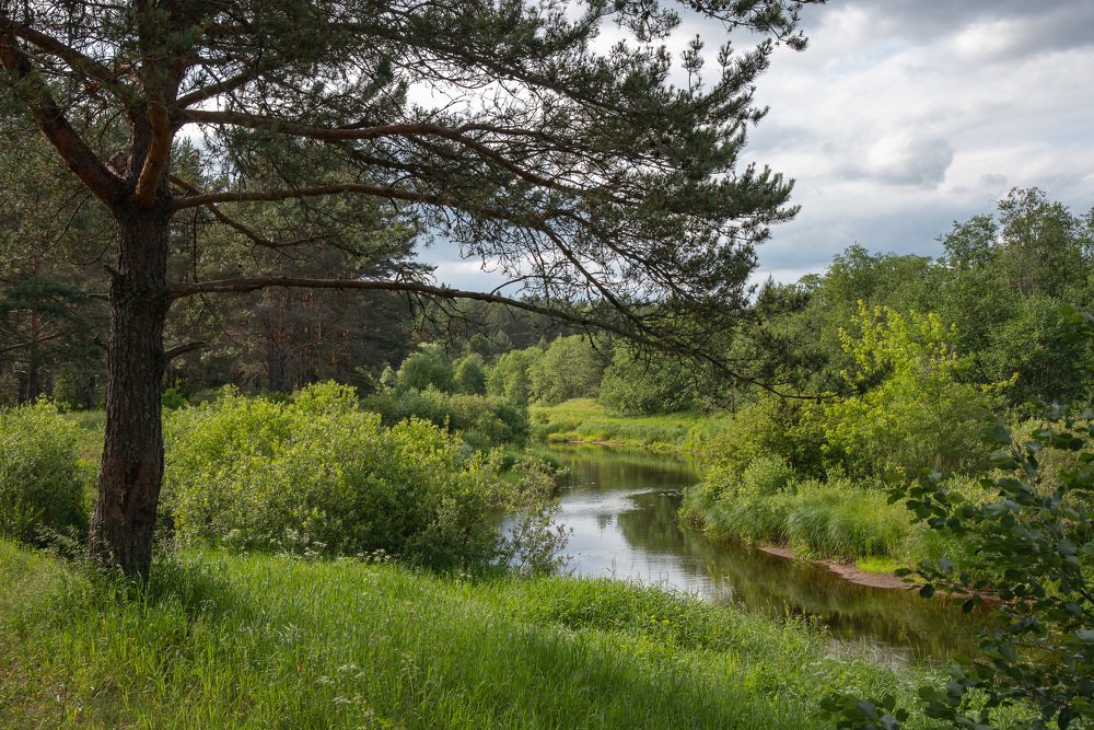 Фотография автора Геннадий Коробов