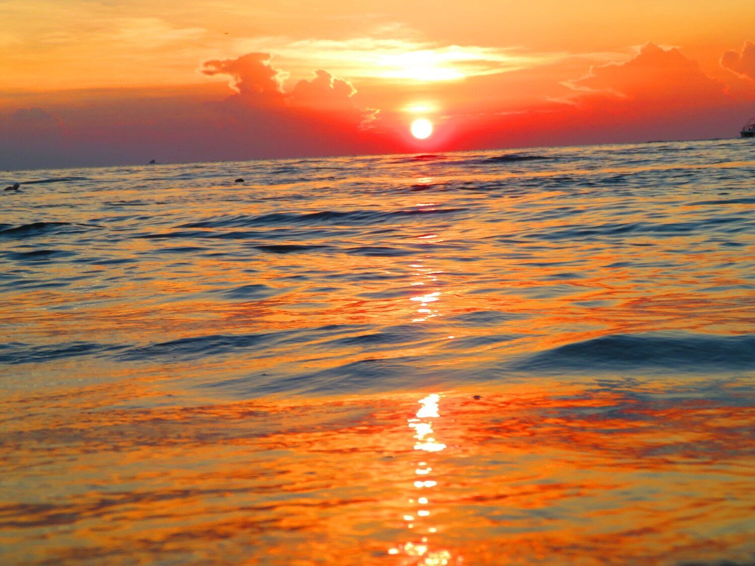 Reflection Of Sunset