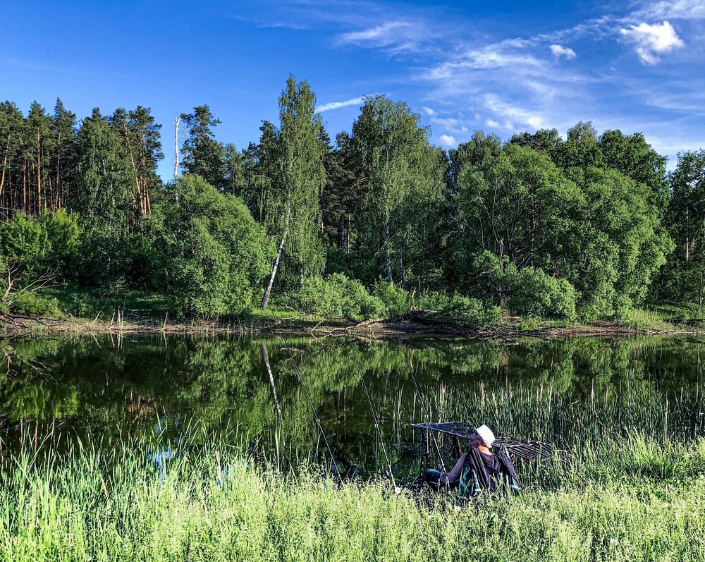 Волжский залив