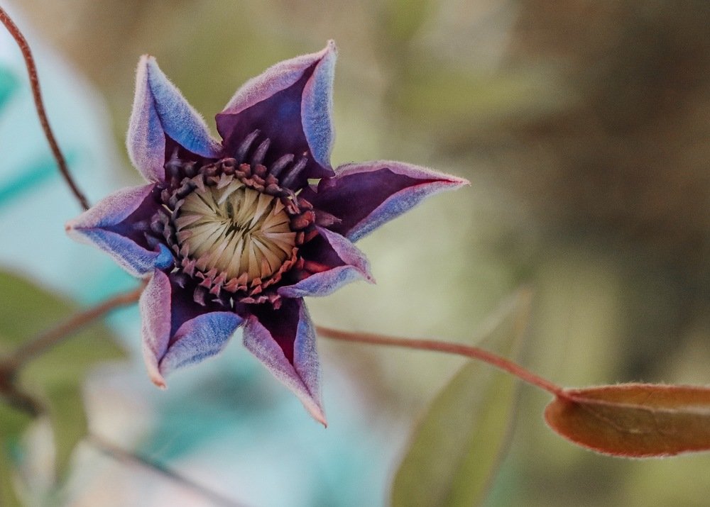 Photograph by Екатерина