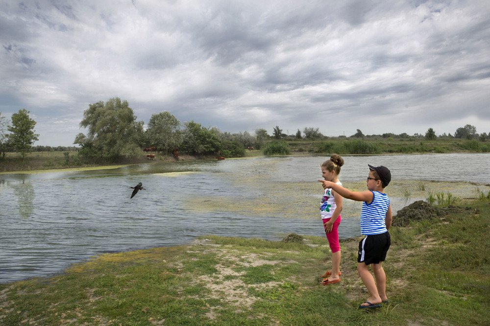 Познание природы