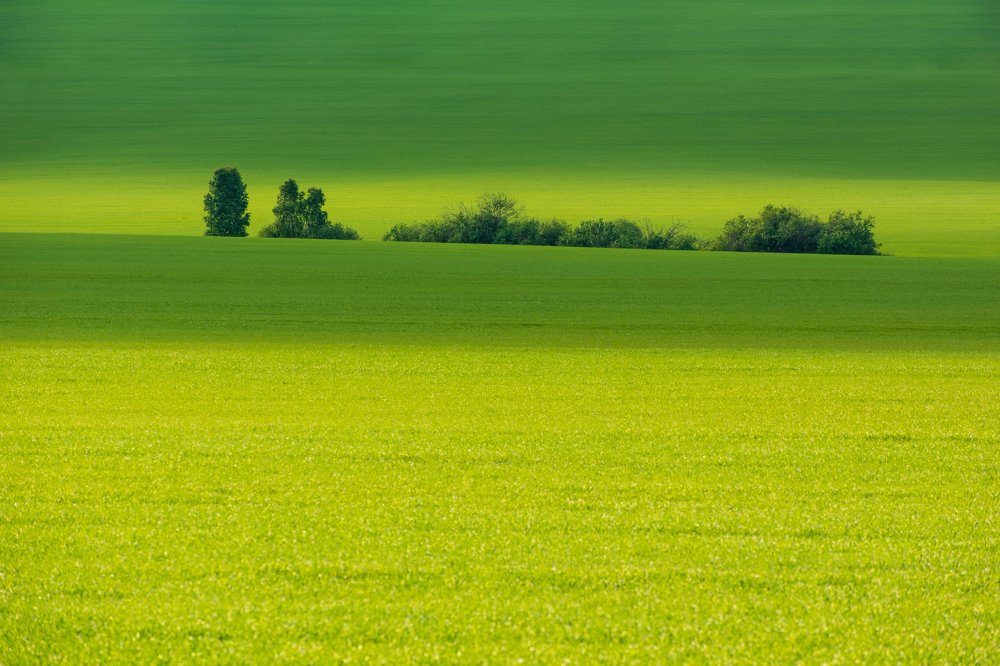 Чешские мотивы