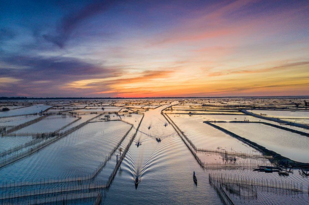 Bình minh đầm Chuồn