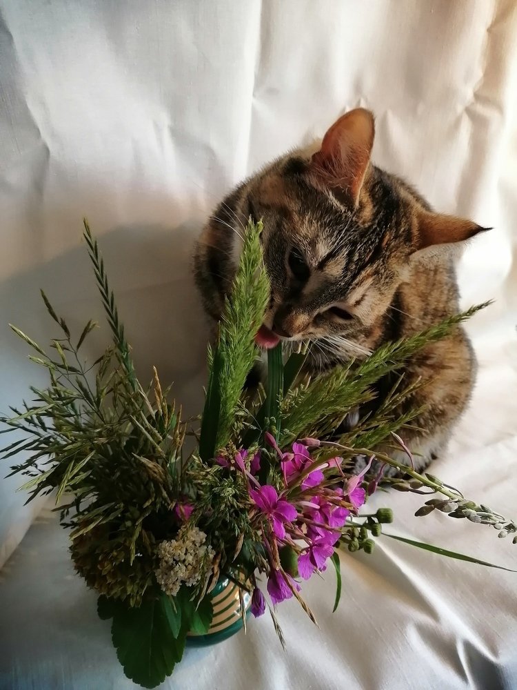 Нужно всё попробовать на зубок!