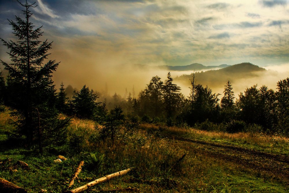 Photograph by Oleg Tsapiuk