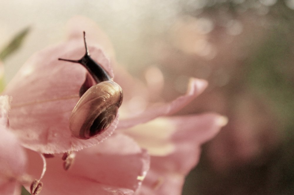 Красота в мелочах (Beauty in the details)