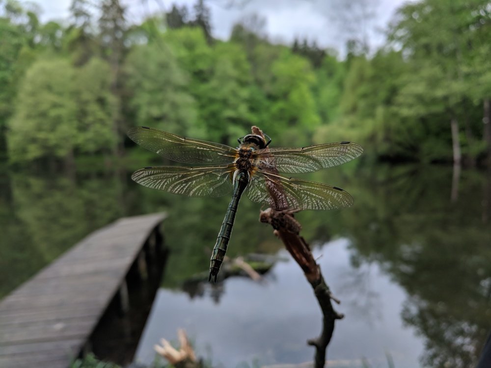 Рождение новой жизни
