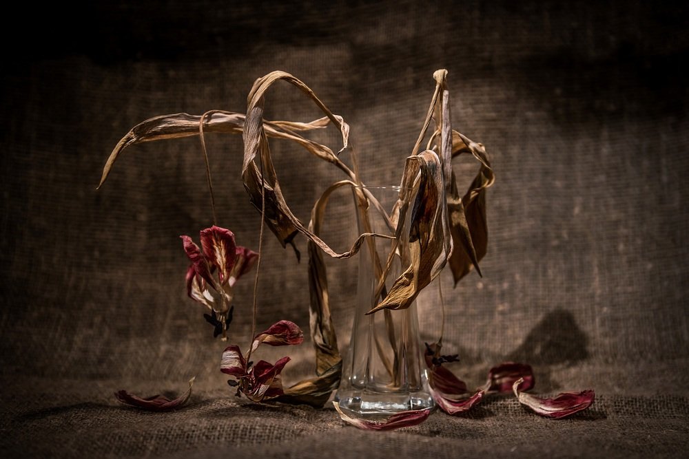 Photograph by Юлия Ла