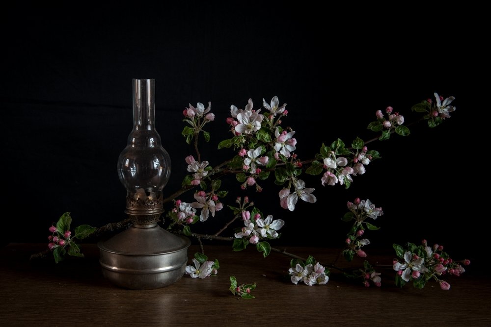 Photograph by Юлия Ла