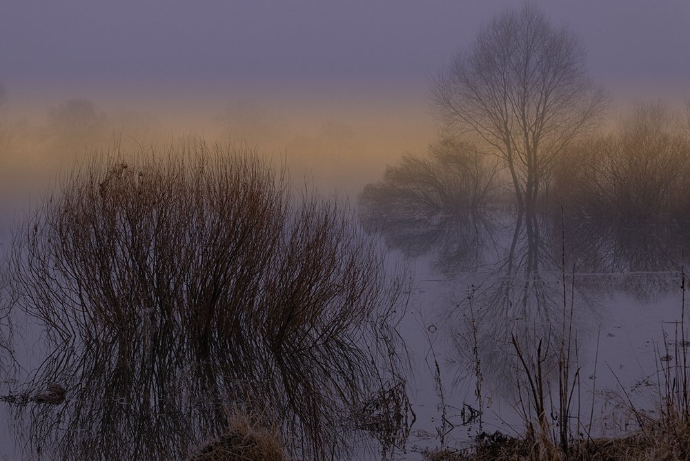Звуки половодья...