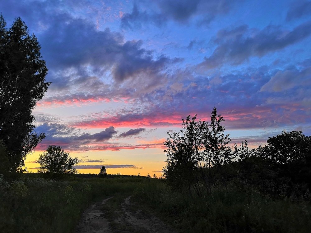 Как прекрасен этот мир