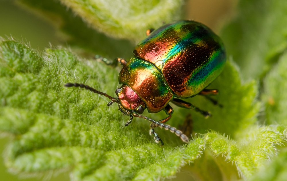 Photograph by Сергей Тригуб