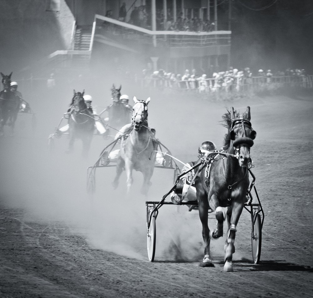 Скачки на Ипподроме