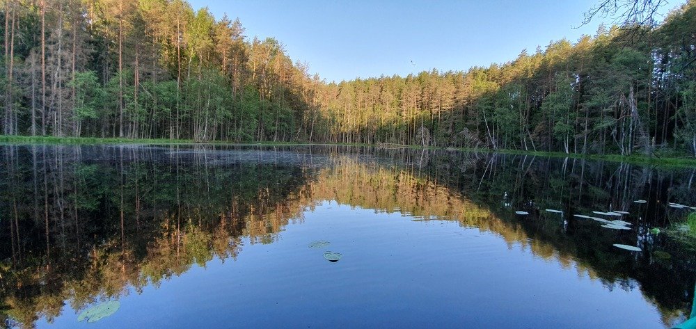 The mirror of the nature