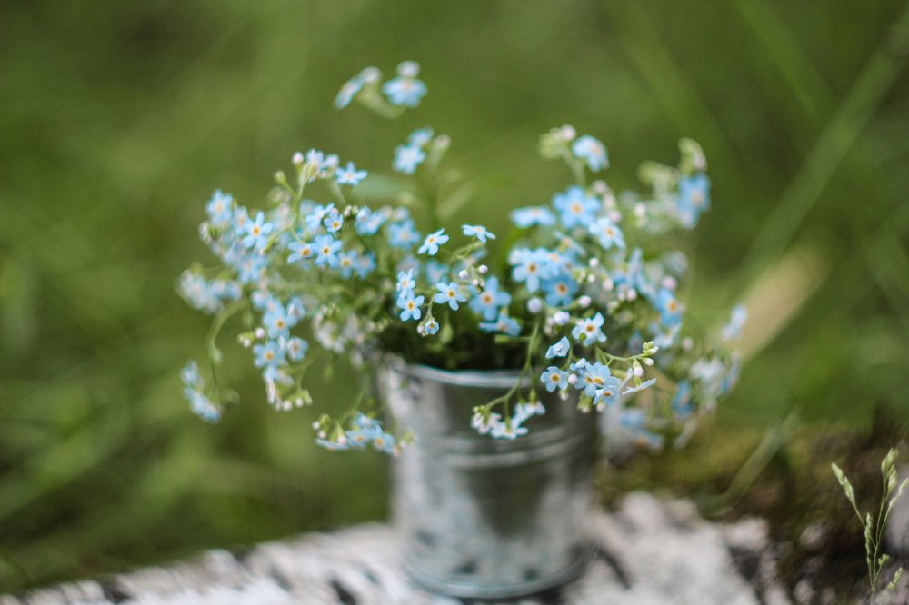 Photograph by Татьяна Шустрова