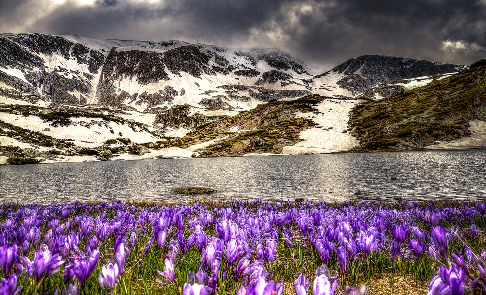 Photograph by Venelin Dimitrov