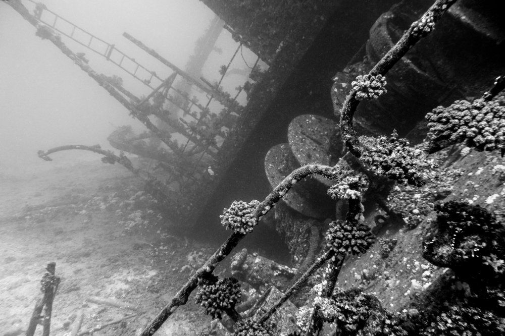 Photograph by Роман Сычев