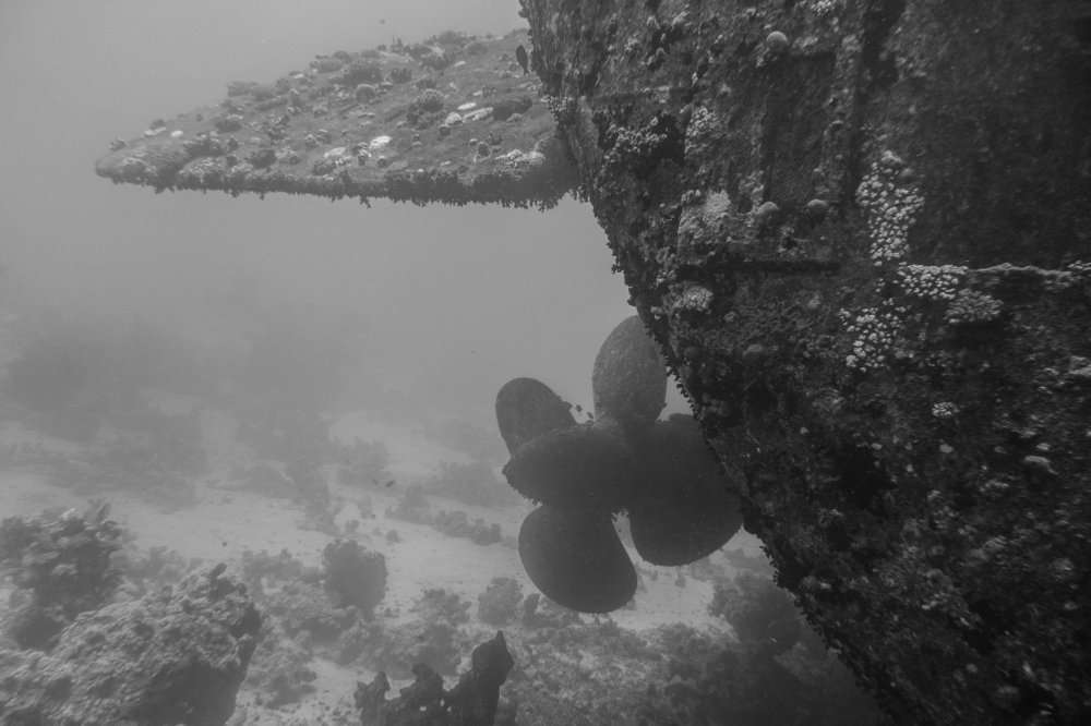 Photograph by Роман Сычев