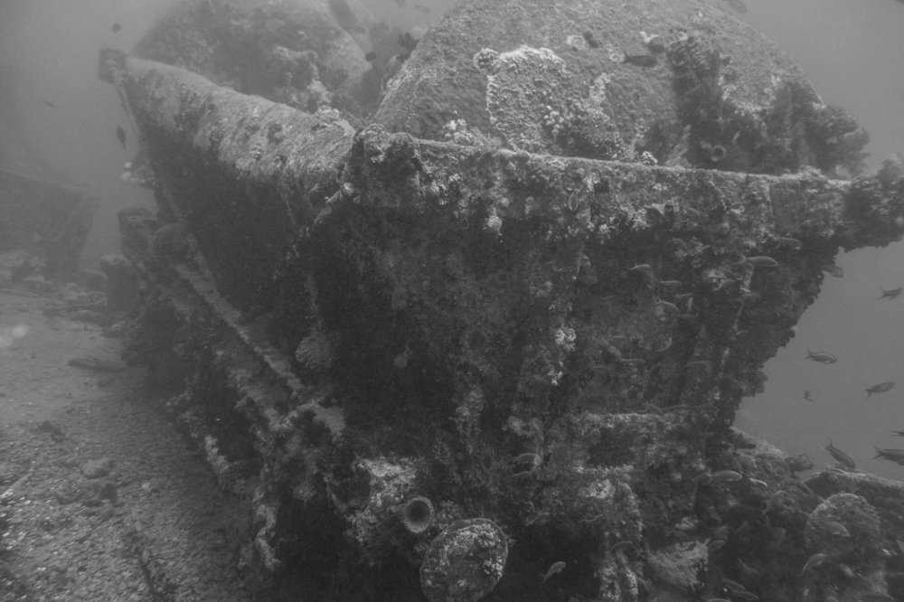 Photograph by Роман Сычев