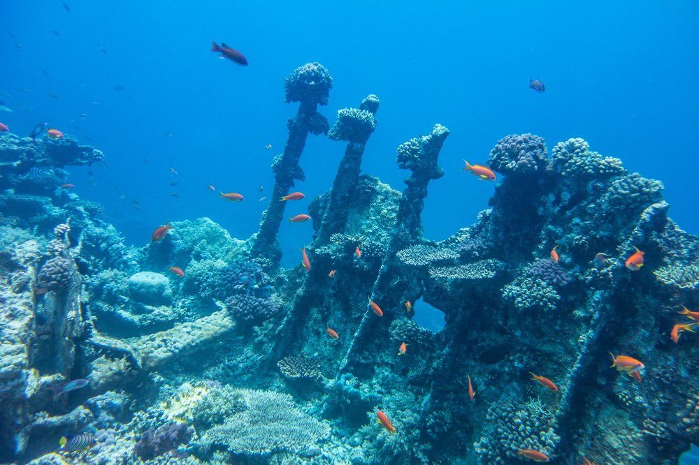 Photograph by Роман Сычев