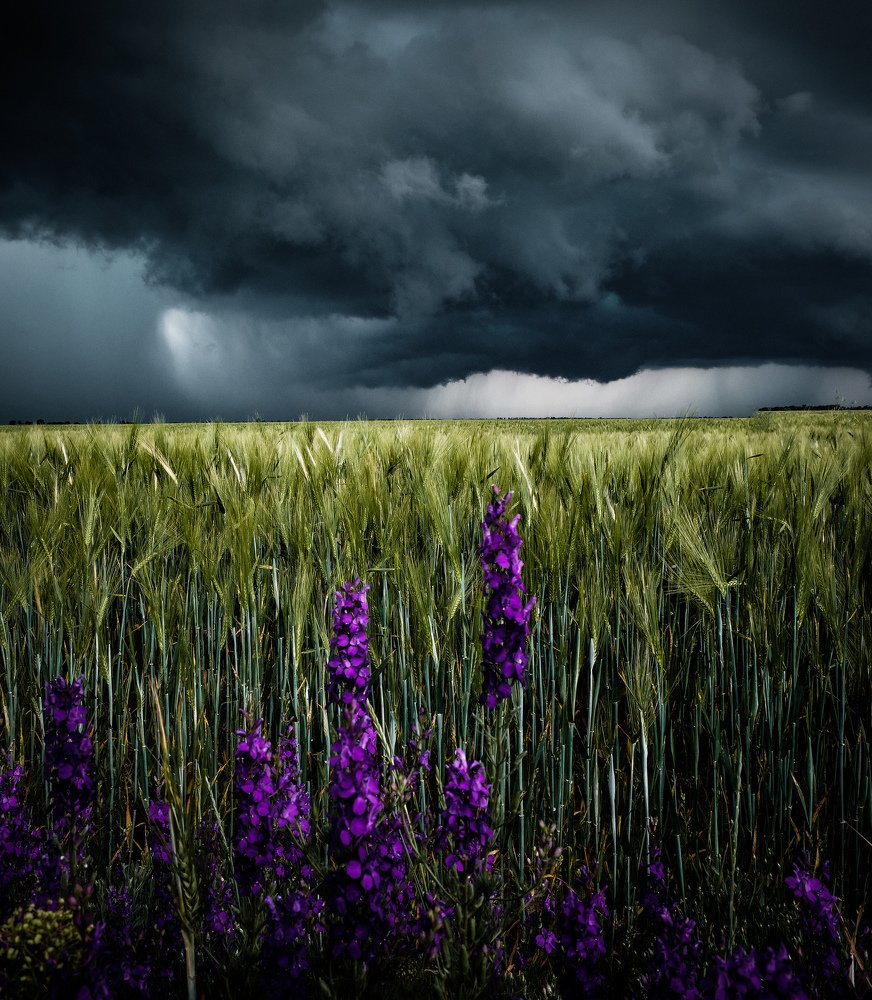 Нежность и сила природы