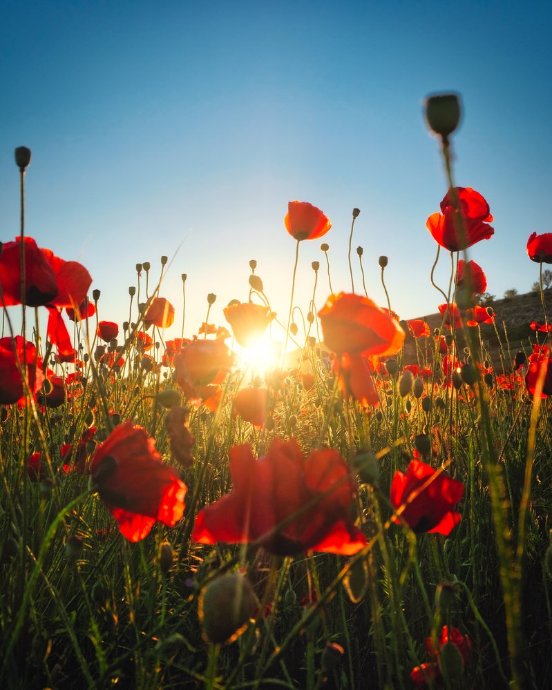 На закате дня.