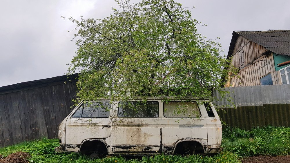 Photograph by Andrey Kondrov