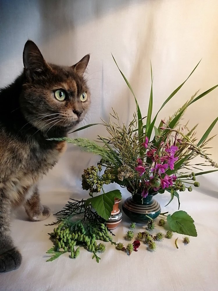 Задумалась...