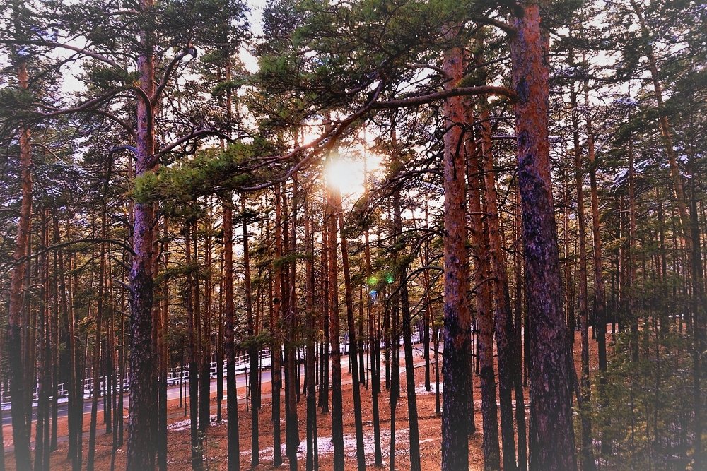 Photograph by Алия Байсыкова