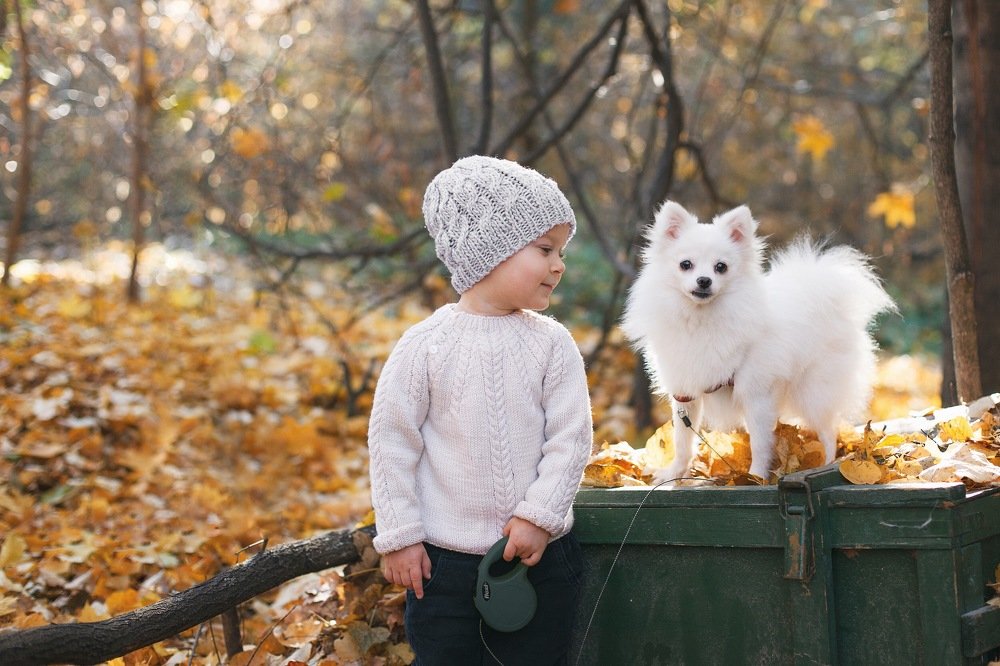 Шустрая подружка