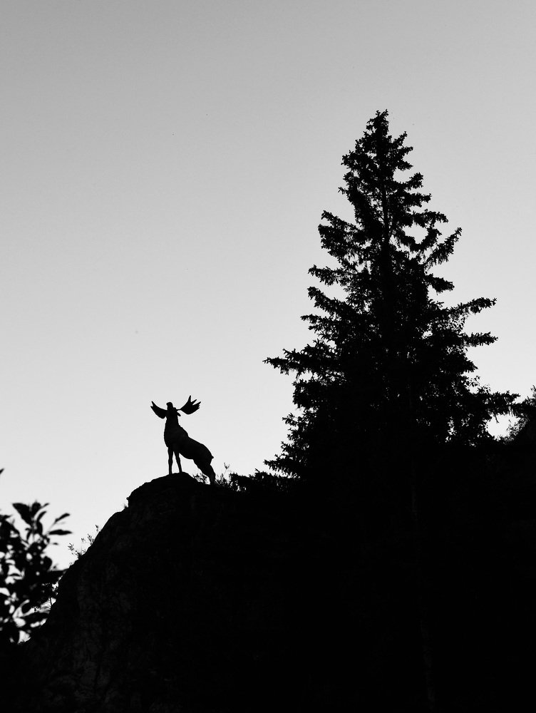 Нижние Серги