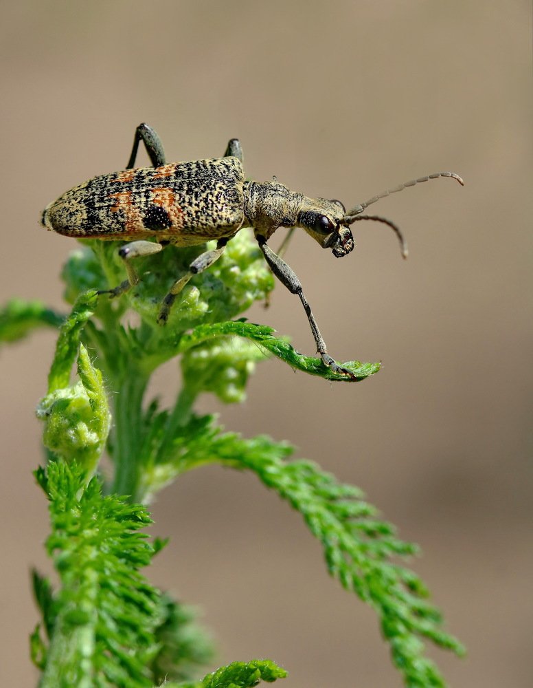 Photograph by Игорь Осипов