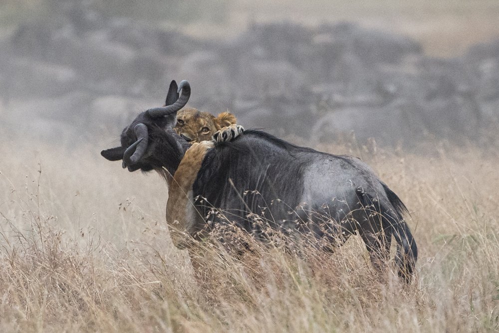 Последние объятия