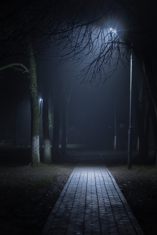 Photograph by Полина Хрол