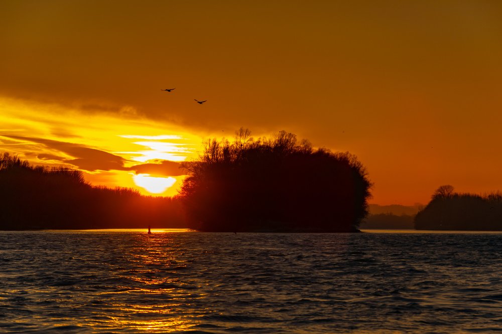 Sunset at the danube with birds